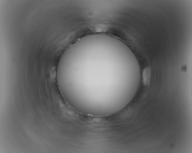 X0000112521443200909071321
