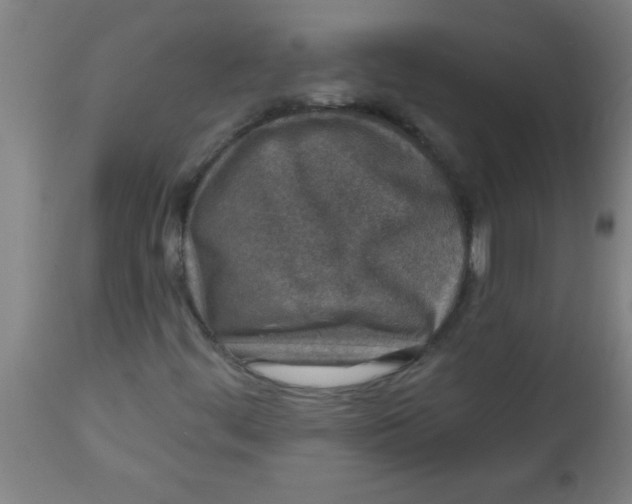 X0000112521444200909071321