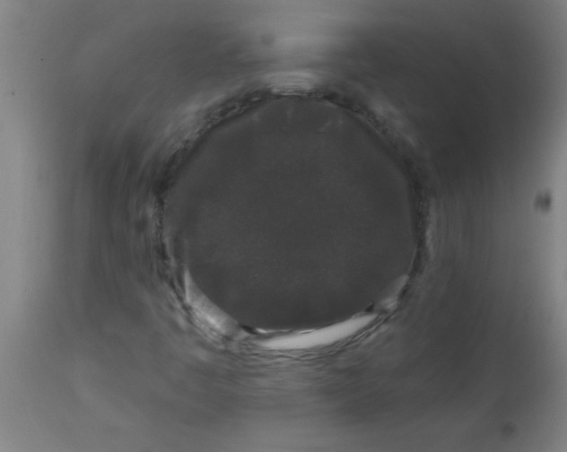X0000112521445200909071321