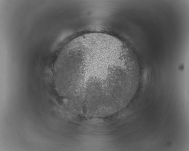 X0000112521446200909071321
