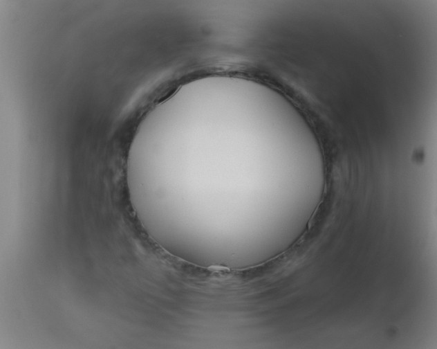 X0000112521447200909071321
