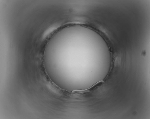 X0000112521448200909071321