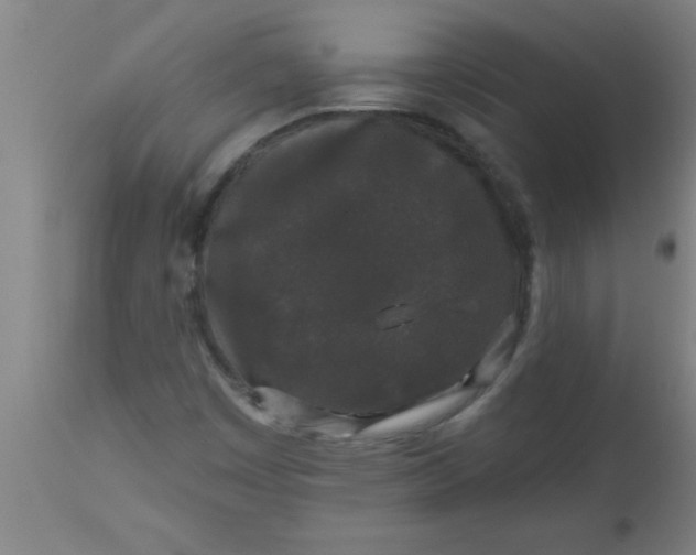 X0000112521449200909071321