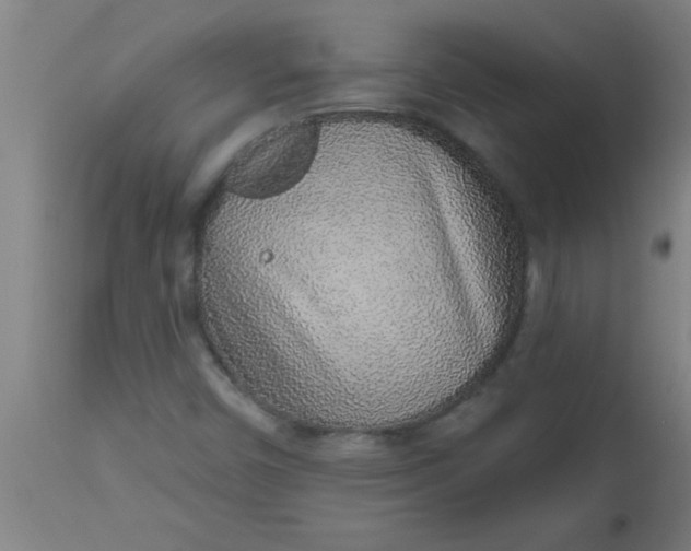 X0000112521450200909071321
