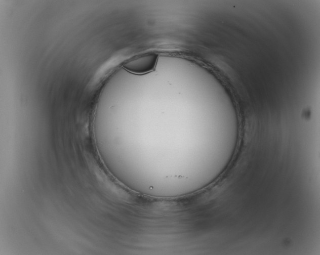 X0000112521451200909071321