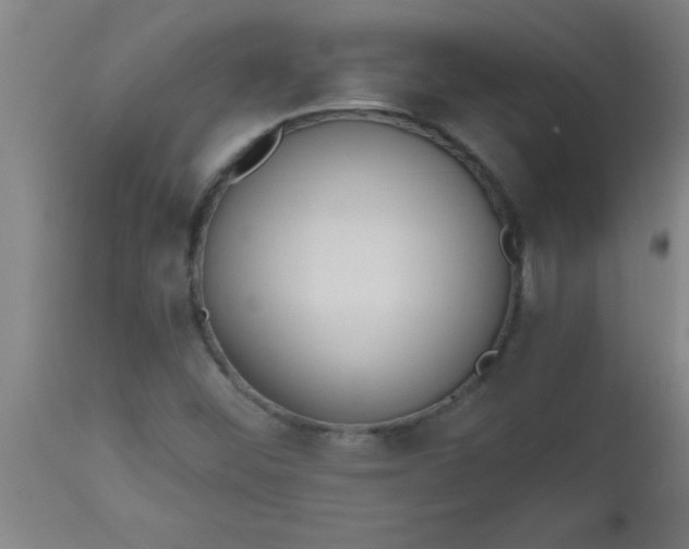 X0000112521452200909071321