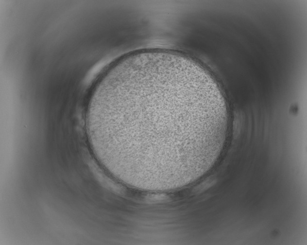 X0000112521454200909071321