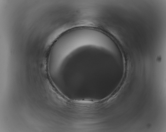 X0000112521455200909071321