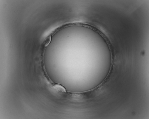 X0000112521456200909071321