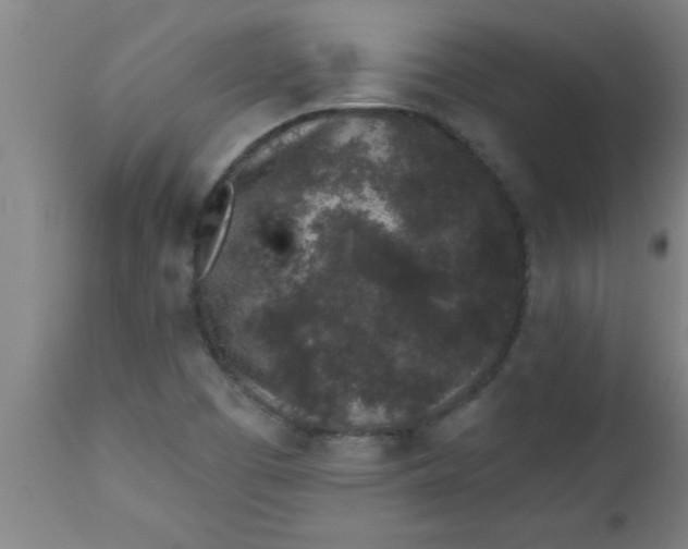 X0000112521457200909071321