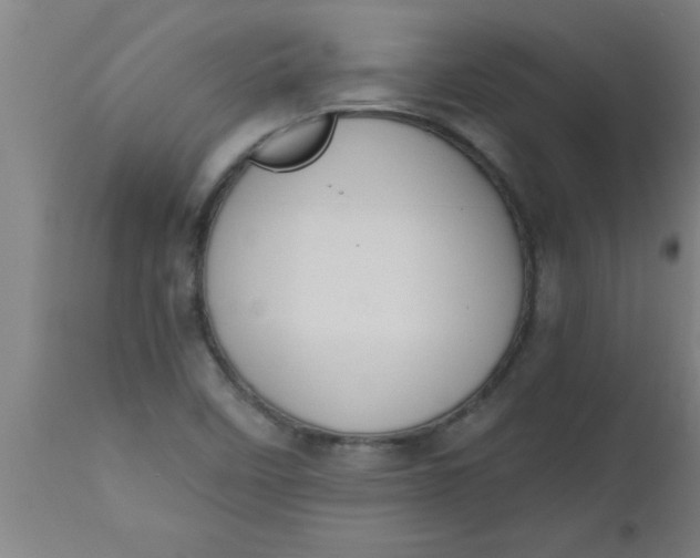 X0000112521458200909071321