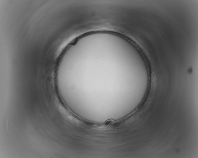 X0000112521460200909071321
