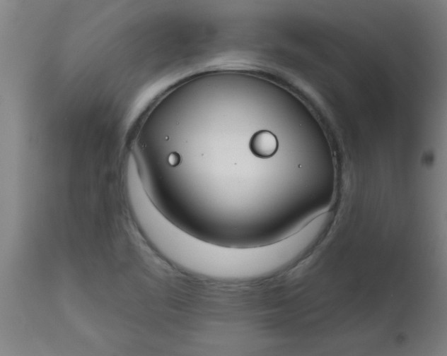X0000112521461200909071321
