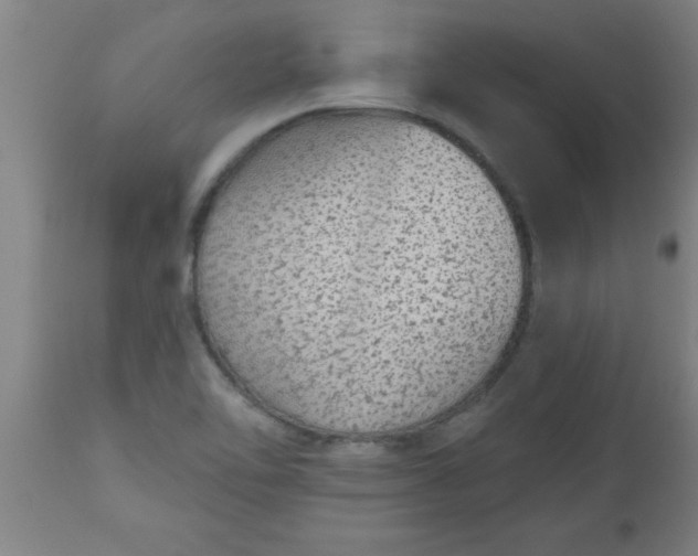 X0000112521462200909071321
