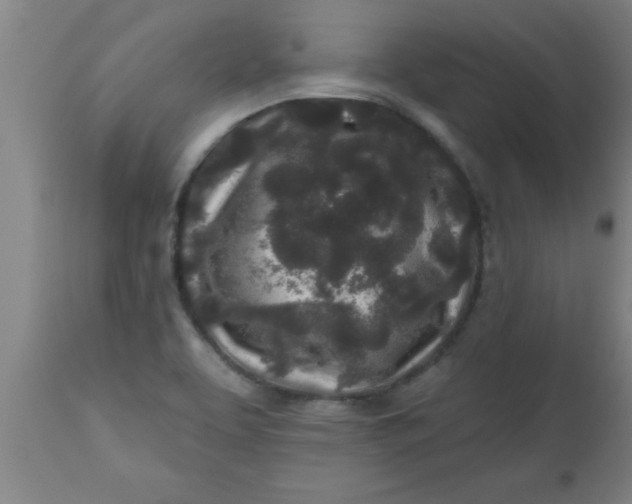 X0000112521463200909071321