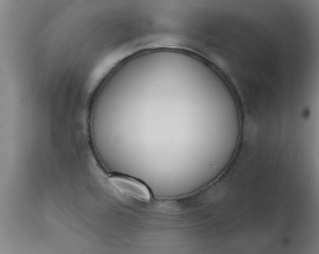 X0000112521464200909071321