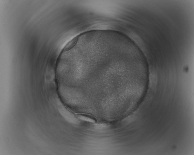 X0000112521465200909071321