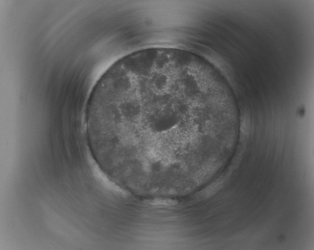 X0000112521466200909071321