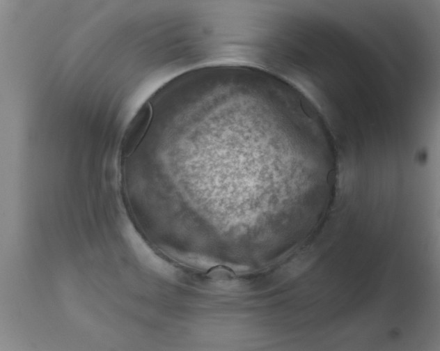 X0000112521468200909071321