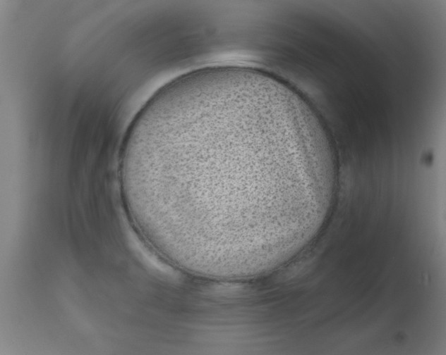 X0000112521470200909071321