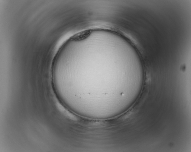 X0000112521471200909071321