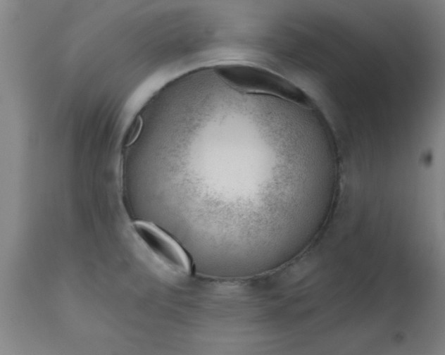 X0000112521472200909071321
