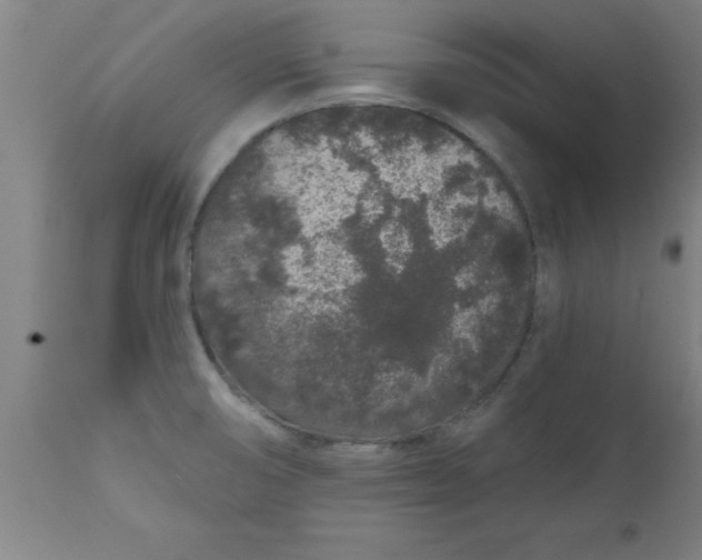 X0000112521474200909071321