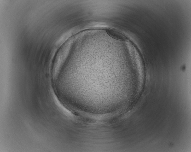 X0000112521475200909071321