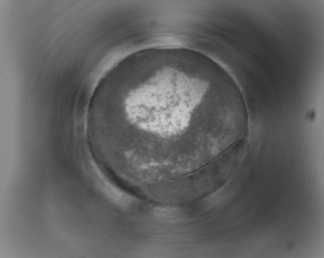 X0000112521477200909071321