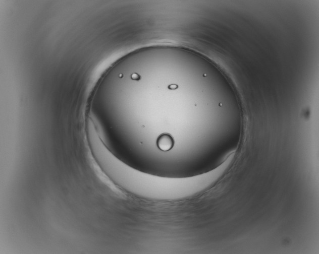 X0000112521480200909071321