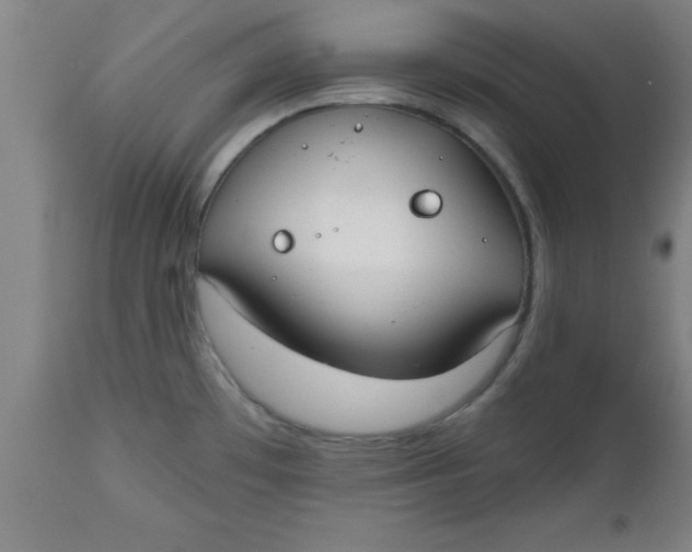 X0000112521481200909071321