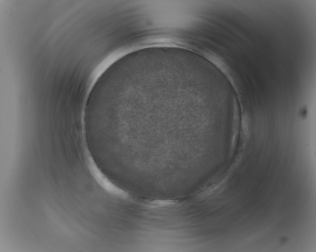 X0000112521482200909071321