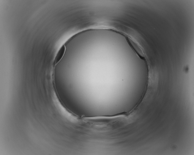 X0000112521484200909071321