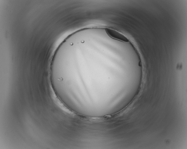 X0000112521488200909071321