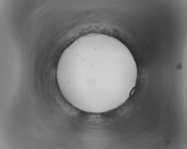 X0000112521489200909071320
