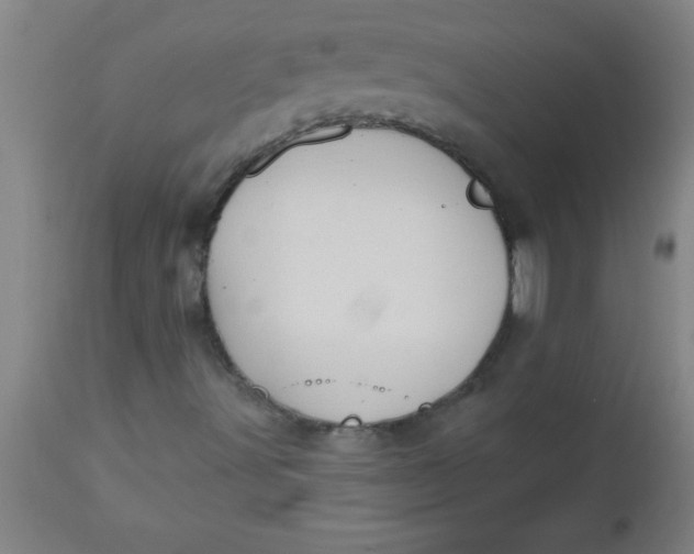 X0000112521491200909071320