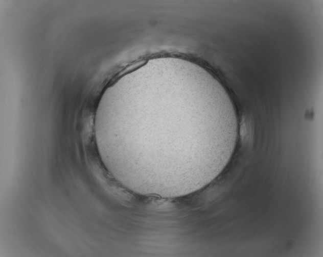 X0000112521492200909071320
