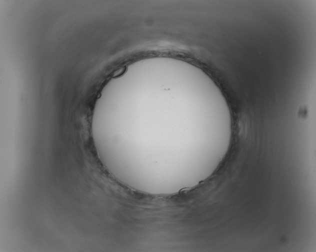 X0000112521493200909071320