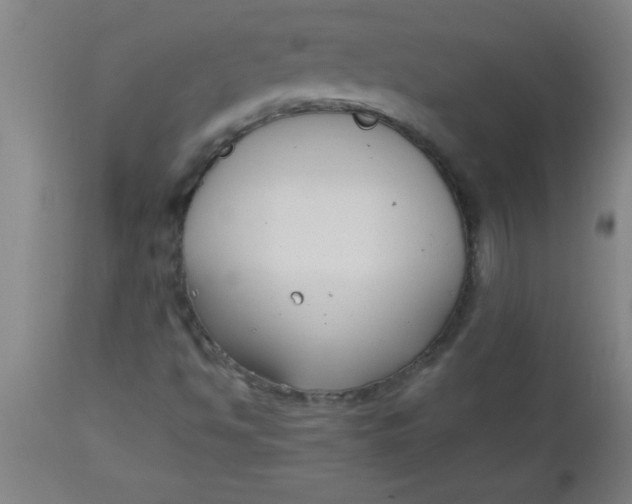 X0000112521494200909071320