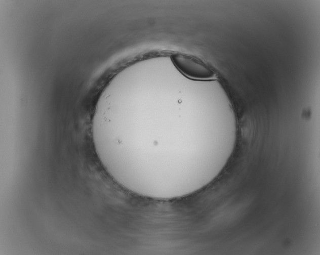X0000112521495200909071320