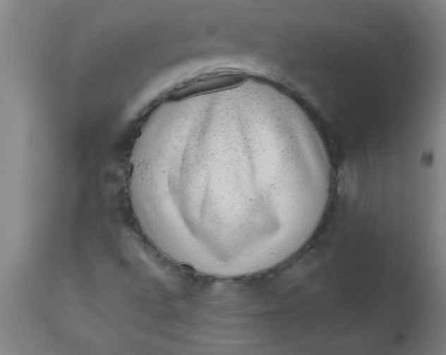 X0000112521496200909071320