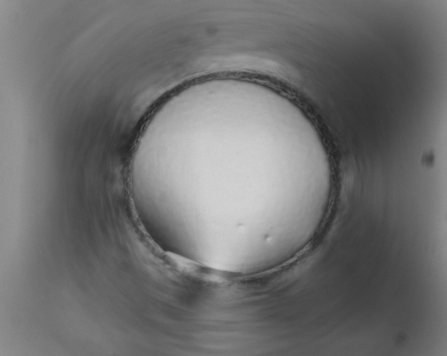 X0000112521497200909071320