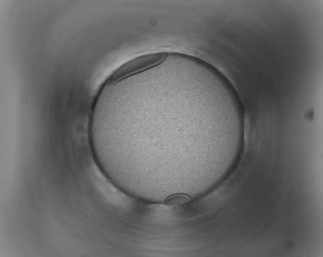 X0000112521500200909071320