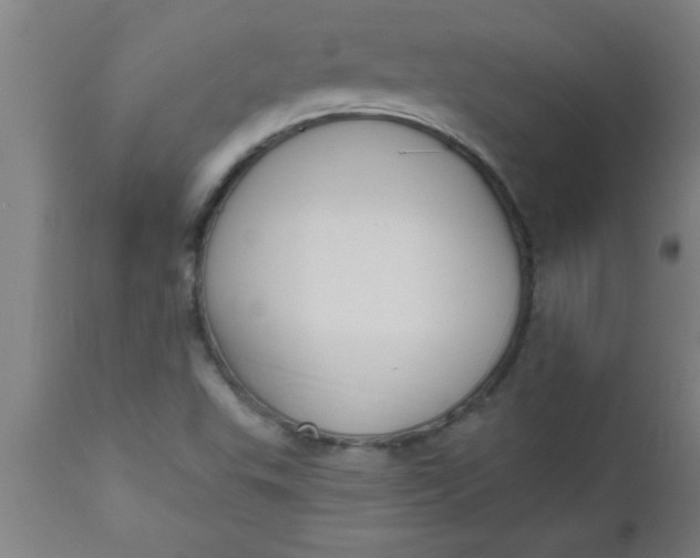 X0000112521503200909071320