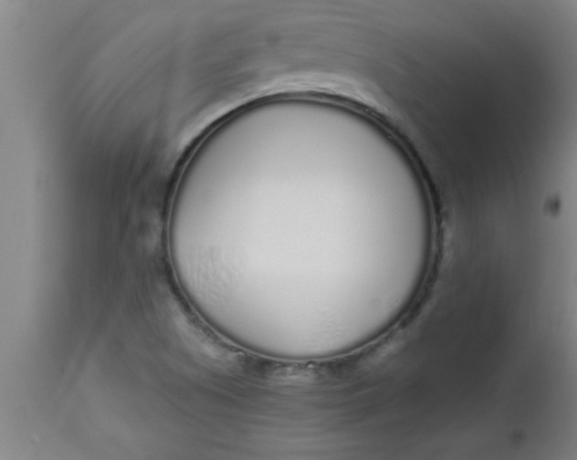 X0000112521505200909071320