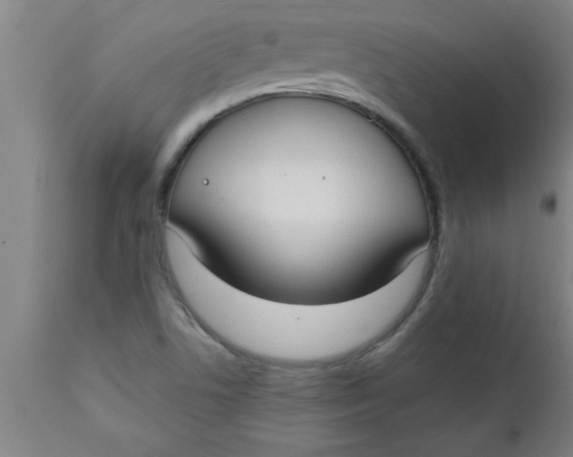 X0000112521506200909071320