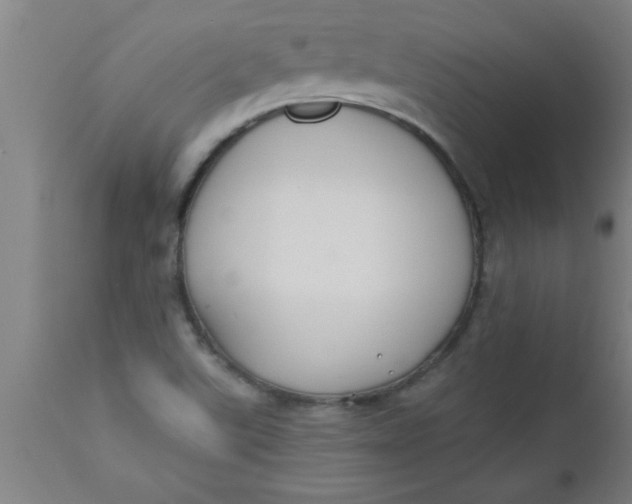 X0000112521507200909071320