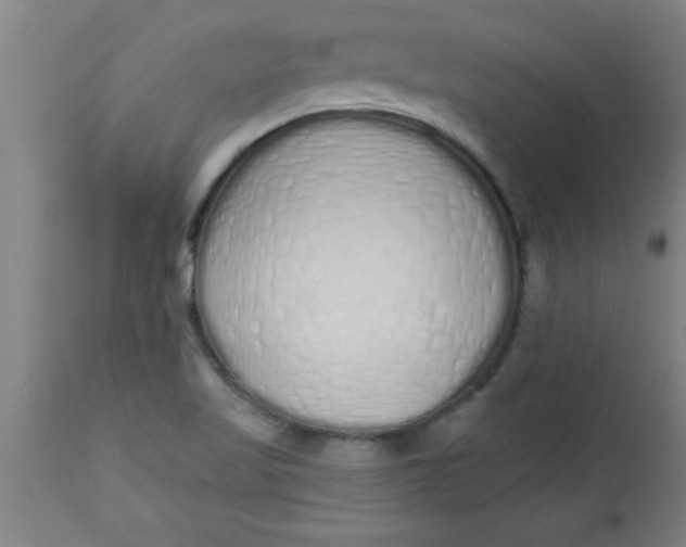 X0000112521509200909071320