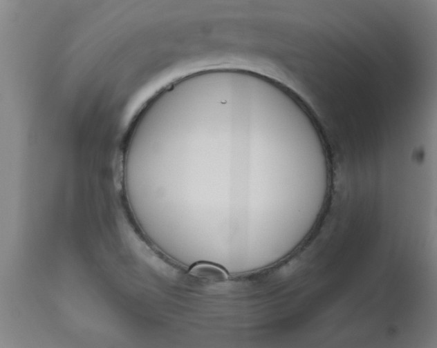X0000112521510200909071320