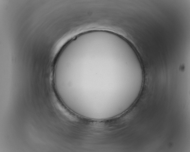 X0000112521511200909071320